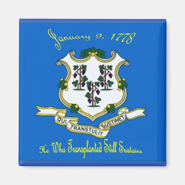 Connecticut Flag Magnet (Front)