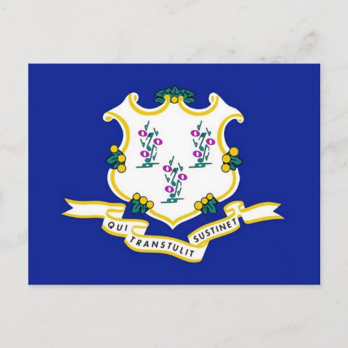 Connecticut Flag Postcard