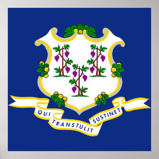 Connecticut flag poster