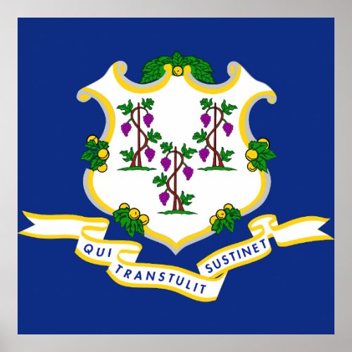 Connecticut flag poster