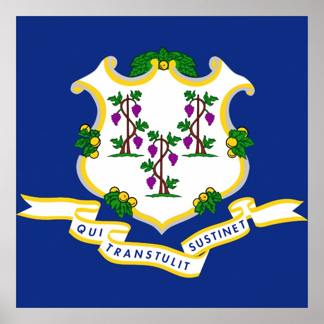 Connecticut flag poster (Front)