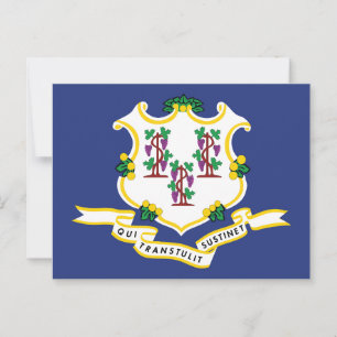 Connecticut Flag Souvenir Nutmeg State Shield Postcard