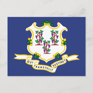 Connecticut Flag Souvenir Nutmeg State Shield Postcard
