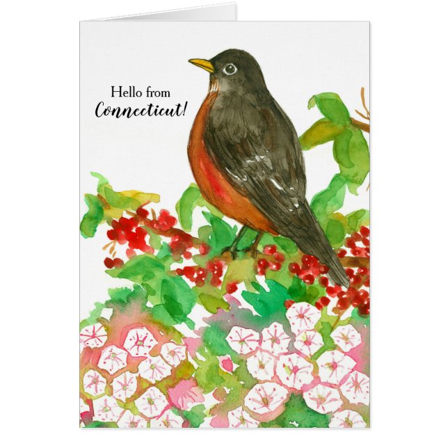 Connecticut Greetings American Robin State Bird Cards (Front)