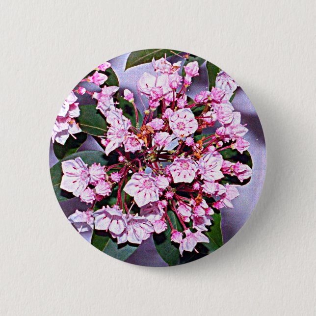 Connecticut Mountain Laurel Button (Front)