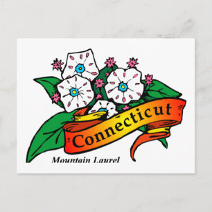 Connecticut Mountain Laurel Postcard