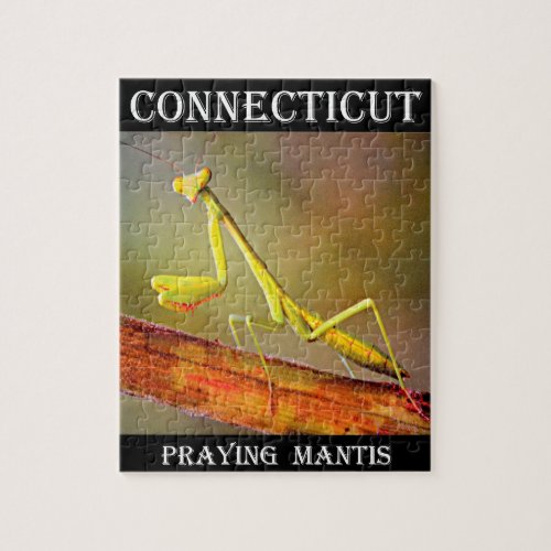 Connecticut Praying Mantis Jigsaw Puzzle