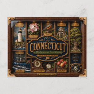 Connecticut Shadow Box 3D Figurine State Postcard