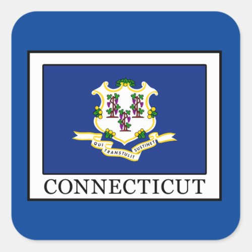 Connecticut Square Sticker