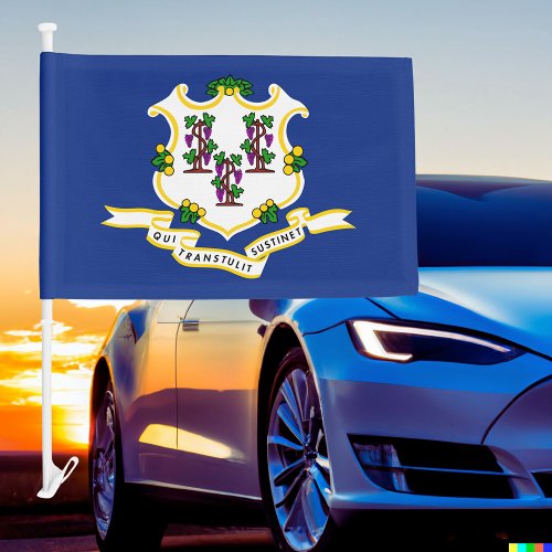 Connecticut State Car Flag