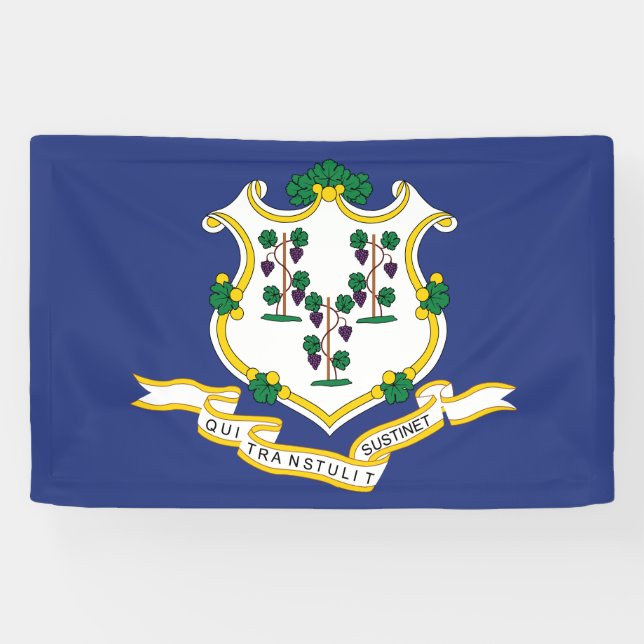 Connecticut State Flag Banner (Horizontal)