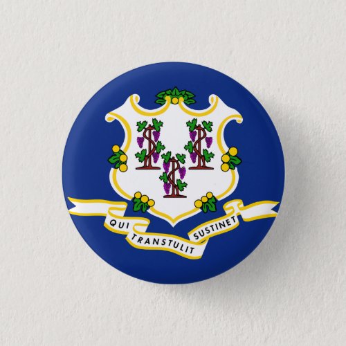 Connecticut State Flag Button