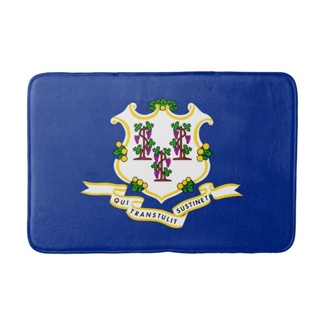 Connecticut State Flag Design Bathroom Mat (Front)