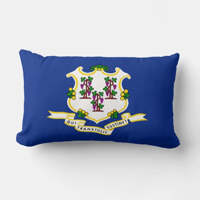 Connecticut State Flag Design Lumbar Pillow (Front)