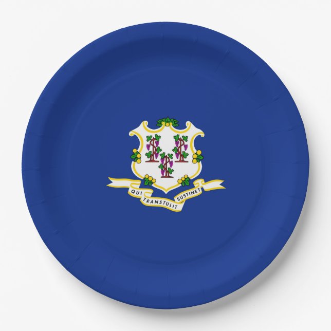 Connecticut State Flag Design Paper Plates (Front)