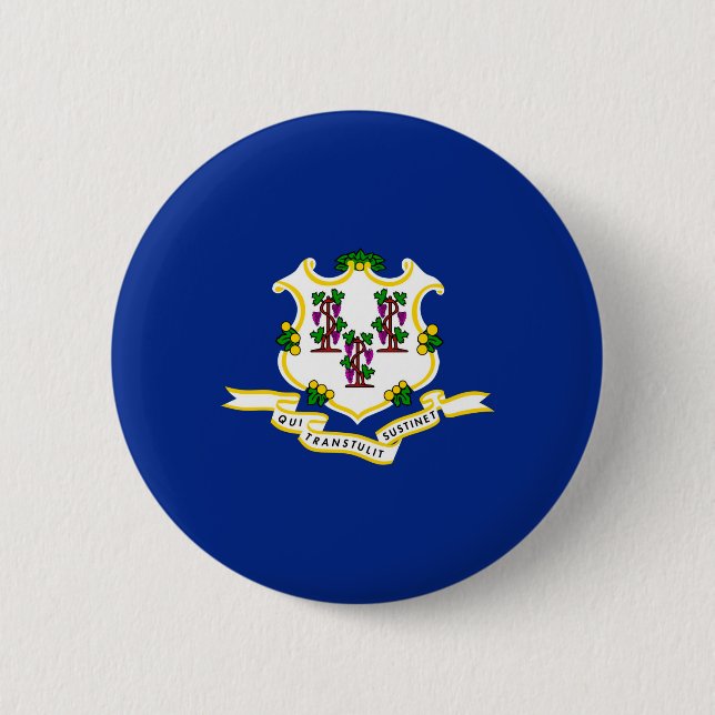 Connecticut State Flag Design Pinback Button (Front)