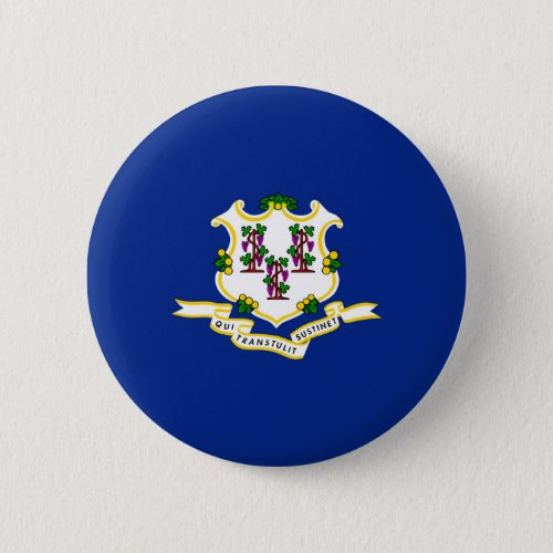 Connecticut State Flag Design Pinback Button