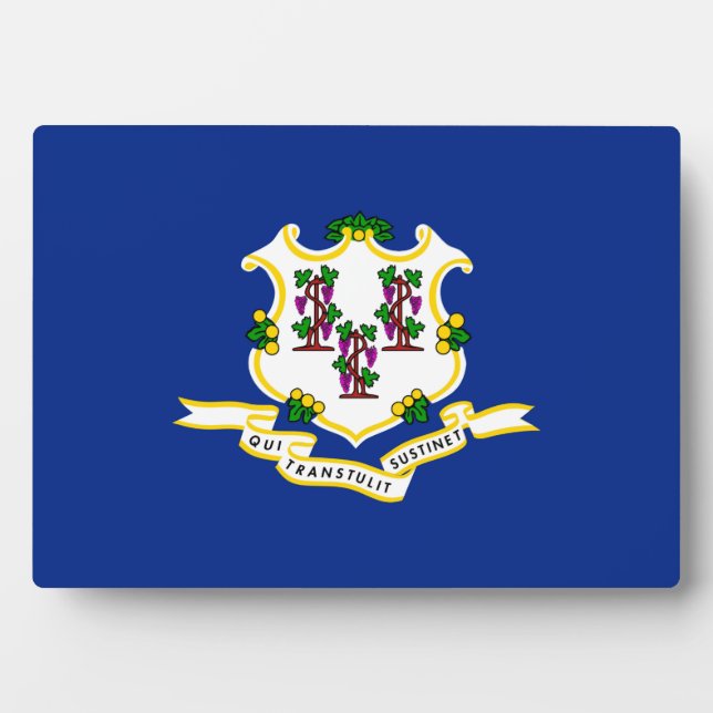 Connecticut State Flag Design Plaque (Front)