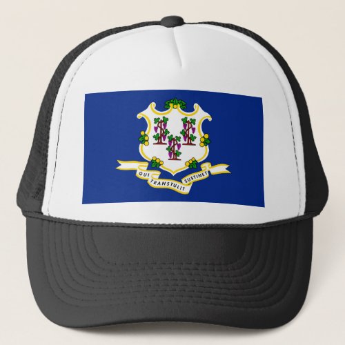 Connecticut State Flag Design Trucker Hat