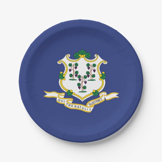 Connecticut State Flag Paper Plates (Front)