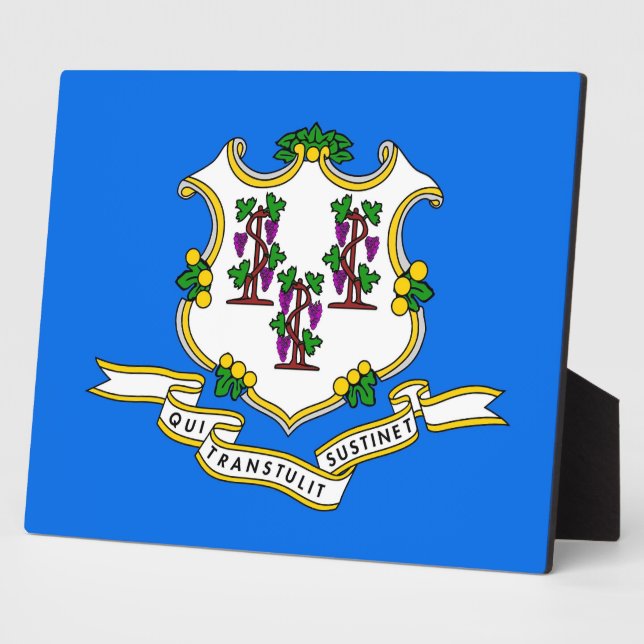 Connecticut State Flag Plaque (Side)