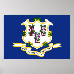 Connecticut State Flag Poster | Zazzle