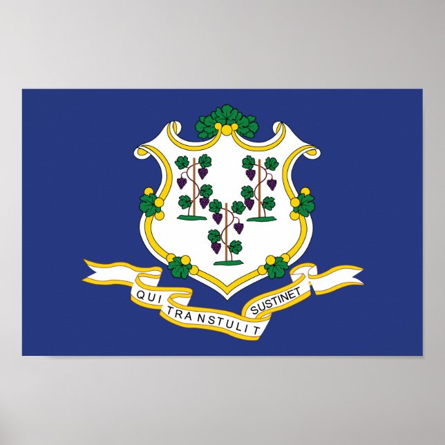 Connecticut State Flag Poster (Front)