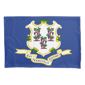 Connecticut State Flag Print Patriotc Pillow Case