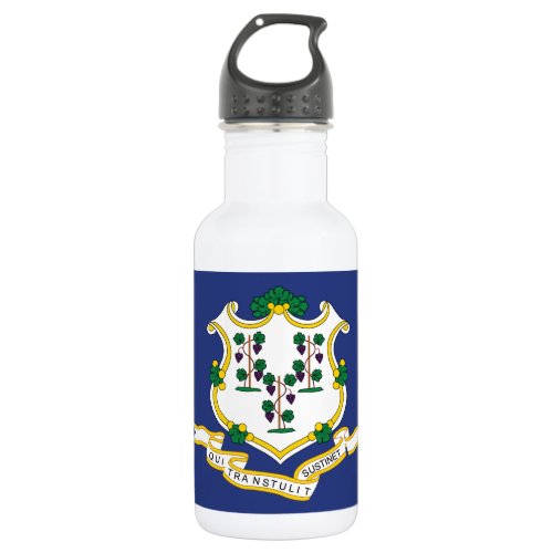 Connecticut State Flag Stainless Steel Water Bottle