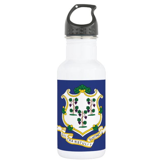Connecticut State Flag Stainless Steel Water Bottle (Front)