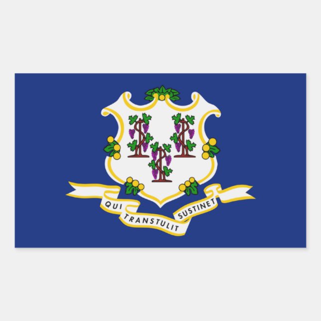 Connecticut State Flag Sticker (Front)