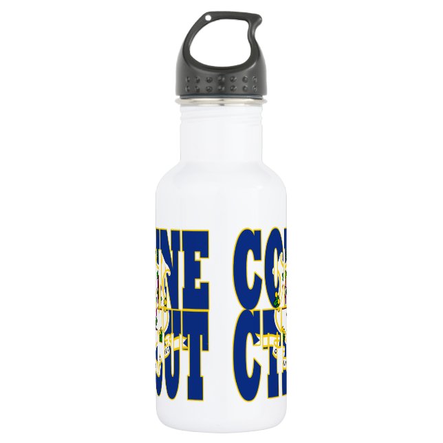 Connecticut state flag text stainless steel water bottle (Front)