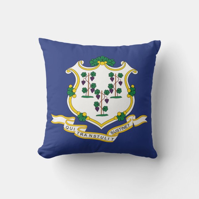 Connecticut State Flag Throw Pillow (Front)