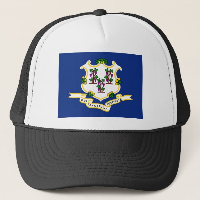 Connecticut State Flag Trucker Hat (Front)