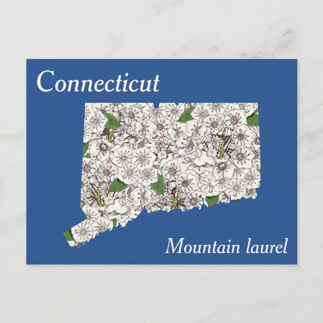 Connecticut State Flower Collage Map Postcard (Front)