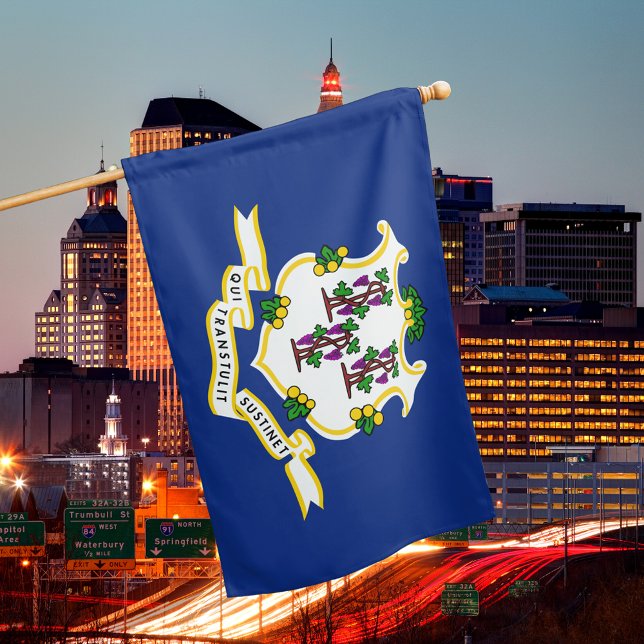 Connecticut State House Flag (Connecticut State House Flag)