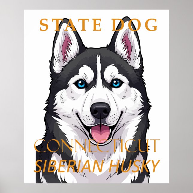 Connecticut Territory Dog Siberian Husky Poster (Front)