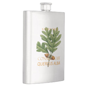 Connecticut Territory Tree The White Oak Flask