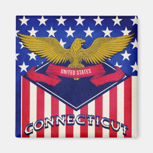 Connecticut USA Flag Magnet