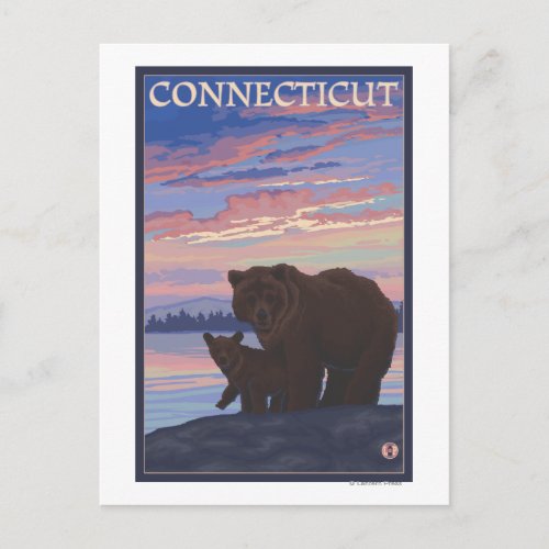 ConnecticutBear and Cub Postcard