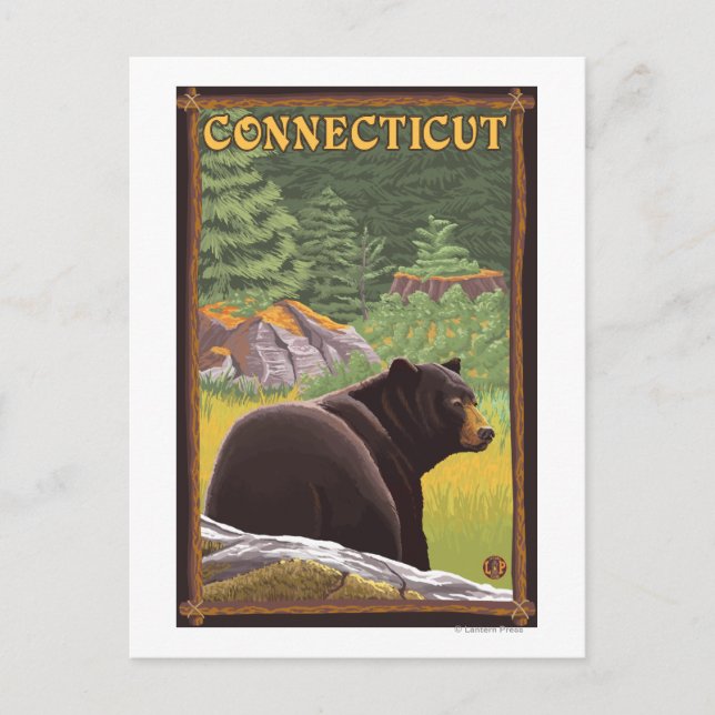 ConnecticutBlack Bear in Forest Postcard (Front)