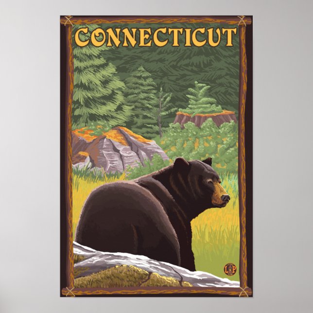 ConnecticutBlack Bear in Forest Poster (Front)