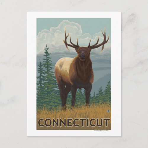 ConnecticutElk Scene Postcard