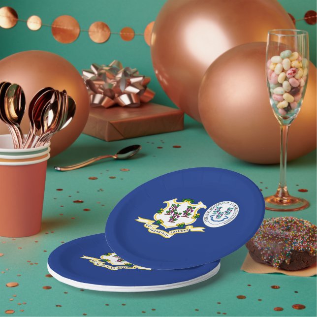 Connecticuter Flag & Seal, Connecticut Paper Plates (Multi)