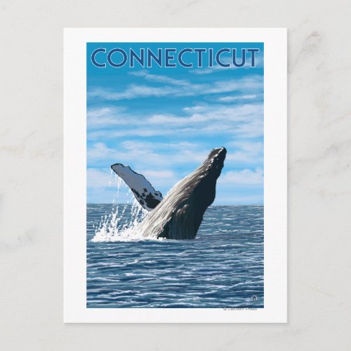 ConnecticutHumpback Whale Scene Postcard