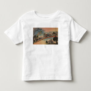 ConnecticutLarge Letter ScenesConnecticut Toddler T-shirt