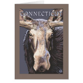 ConnecticutMoose Up Close (Front)