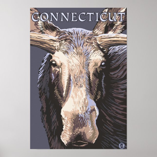 ConnecticutMoose Up Close Poster (Front)