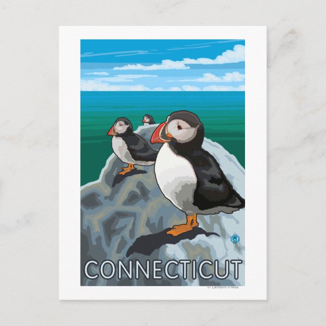 ConnecticutPuffins Scene Postcard (Front)