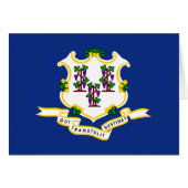 Connecticut's Flag (Front Horizontal)